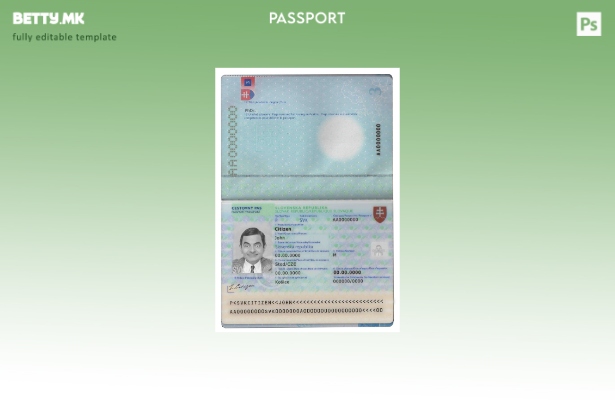 Модерен стил шаблон за пасош на Словачка 1